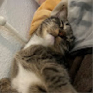 Meet your Posher, Emma